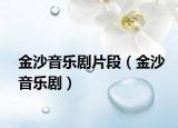 金沙音樂(lè)劇片段（金沙音樂(lè)?。? /></span></a>
                        <h2><a href=