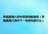 畢竟西湖六月中這首詩(shī)的意思（畢竟西湖六月中下一句詩(shī)句是什么）