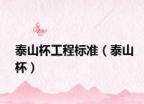 泰山杯工程標(biāo)準(zhǔn)（泰山杯）