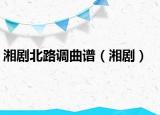 湘劇北路調(diào)曲譜（湘?。? /></span></a>
                        <h2><a href=