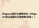 lifeguard是什么意思中文（lifeguard怎么讀是什么意思呢(急需））