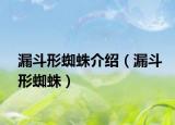 漏斗形蜘蛛介紹（漏斗形蜘蛛）