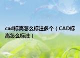 cad標(biāo)高怎么標(biāo)注多個(gè)（CAD標(biāo)高怎么標(biāo)注）