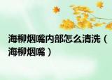 海柳煙嘴內部怎么清洗（海柳煙嘴）