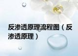 反滲透原理流程圖（反滲透原理）
