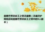 魔獸世界巫妖王之怒靈魂獸（靈魂洪爐 網(wǎng)絡(luò)游戲魔獸世界巫妖王之怒中的5人副本）