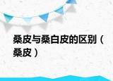 桑皮與桑白皮的區(qū)別（桑皮）