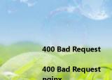 <html>
<head><title>400 Bad Request<title><head>
<body>
<center><h1>400 Bad Request<h1><center>
<hr><center>nginx<center>
<body>
<html>
