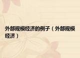外部規(guī)模經(jīng)濟(jì)的例子（外部規(guī)模經(jīng)濟(jì)）