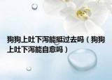 狗狗上吐下瀉能挺過去嗎（狗狗上吐下瀉能自愈嗎）