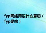 fyp網(wǎng)絡(luò)用語什么意思（fyp是啥）