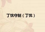 丁憂守制（丁憂）
