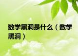數(shù)學(xué)黑洞是什么（數(shù)學(xué)黑洞）