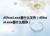 dllhost.exe是什么文件（dllhost.exe是什么程序）