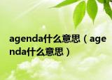 agenda什么意思（agenda什么意思）