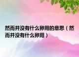 然而并沒有什么卵用的意思（然而并沒有什么卵用）