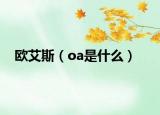 歐艾斯（oa是什么）