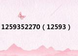 1259352270（12593）