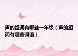 聲的組詞有哪些一年級(jí)（聲的組詞有哪些詞語(yǔ)）