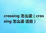 crossing 怎么讀（crossing 怎么讀 語(yǔ)音）