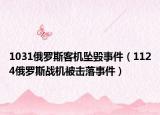 1031俄羅斯客機(jī)墜毀事件（1124俄羅斯戰(zhàn)機(jī)被擊落事件）