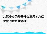 九億少女的夢是什么意思（九億少女的夢是什么梗）