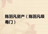 陳羽凡資產(chǎn)（陳羽凡吸毒門）