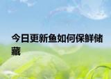 今日更新魚如何保鮮儲藏
