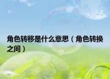 角色轉(zhuǎn)移是什么意思（角色轉(zhuǎn)換之間）