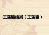 王蒲臣結(jié)局（王蒲臣）
