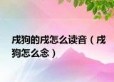 戌狗的戌怎么讀音（戌狗怎么念）
