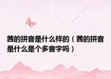 茜的拼音是什么樣的（茜的拼音是什么是個多音字嗎）