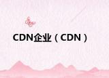 CDN企業(yè)（CDN）