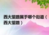 西大望路屬于哪個街道（西大望路）