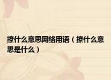 撩什么意思網(wǎng)絡(luò)用語（撩什么意思是什么）