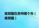 夜郎國(guó)在貴州哪個(gè)市（夜郎國(guó)）