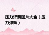 壓力彈簧圖片大全（壓力彈簧）