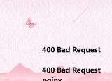 <html>
<head><title>400 Bad Request<title><head>
<body>
<center><h1>400 Bad Request<h1><center>
<hr><center>nginx<center>
<body>
<html>
