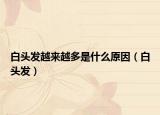 白頭發(fā)越來越多是什么原因（白頭發(fā)）