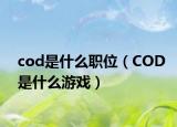 cod是什么職位（COD是什么游戲）