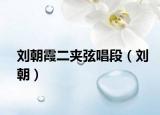 劉朝霞二夾弦唱段（劉朝）