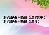 浪子回頭金不換是什么意思知乎（浪子回頭金不換是什么生肖）