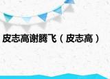 皮志高謝騰飛（皮志高）