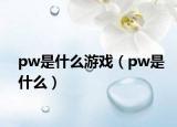 pw是什么游戲（pw是什么）