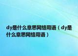 dy是什么意思網(wǎng)絡用語（dy是什么意思網(wǎng)絡用語）