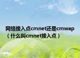 網(wǎng)絡(luò)接入點cmnet還是cmwap（什么叫cmnet接入點）