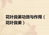 花葉良姜功效與作用（花葉良姜）