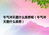 牛氣沖天是什么意思呢（牛氣沖天是什么意思）