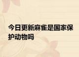 今日更新麻雀是國家保護(hù)動(dòng)物嗎