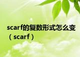 scarf的復數(shù)形式怎么變（scarf）